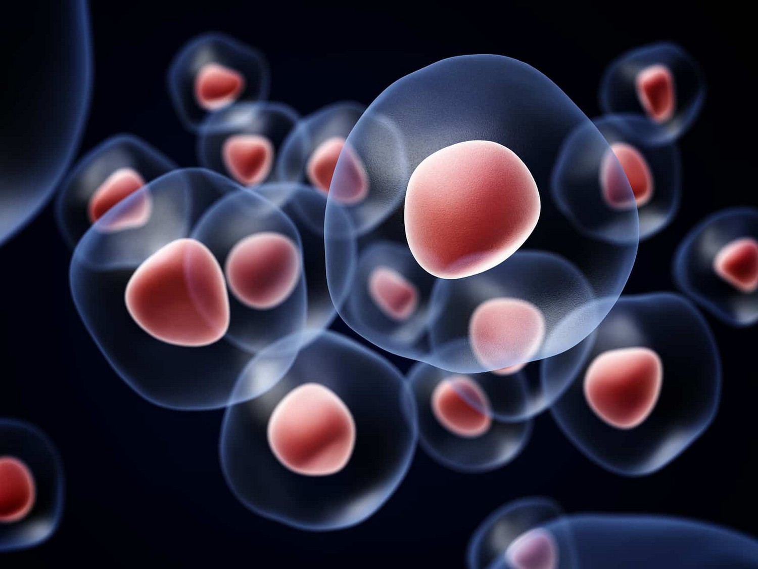 Advanced Health Solutions: stem cell therapy for cartilage defects